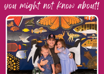 Homeschool Reductions You Would possibly Not Know About (However Completely Ought to!)