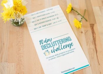 Decluttering Problem – Day 9 & 10 (the toy room + my automobile)