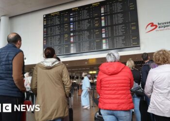 EU cyber company says airport software program held to ransom by criminals