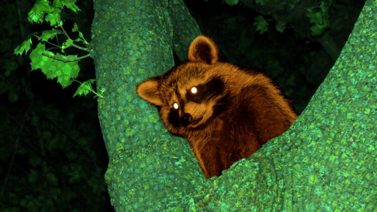 Modder injects AI dialogue into 2002’s Animal Crossing utilizing reminiscence hack