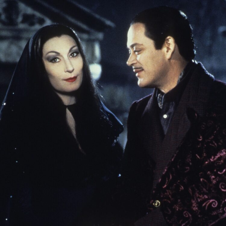 Addams Household Film Secrets and techniques Revealed