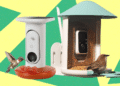 Finest Chook Feeders With Cameras, Examined and Reviewed (2025)