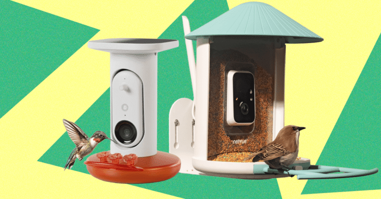 Finest Chook Feeders With Cameras, Examined and Reviewed (2025)