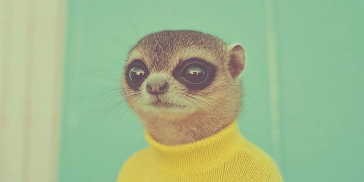 The Obtain: The rehabilitation of AI artwork, and the scary reality about antimicrobial resistance