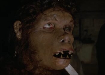 Stephen King’s Little-Identified Werewolf Film Was Initially A Gorgeously Illustrated E-book
