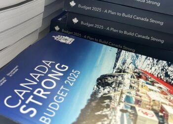 Tax specialists share disappointment at discovering tax coverage modifications buried in price range footnotes