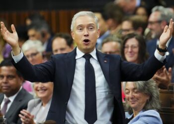 Canadians shouldn’t take it if the CRA's 100-day enchancment plan doesn't provide up actual options