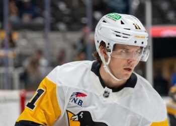 Penguins F Filip Hallander (blood clot) anticipated out not less than 3 months