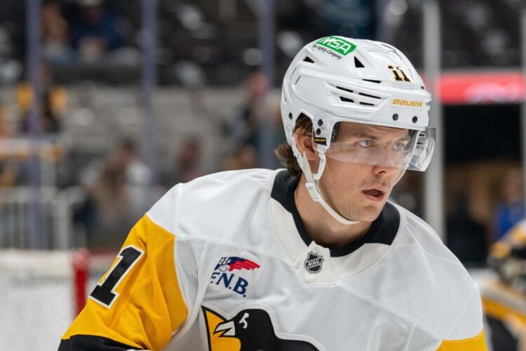 Penguins F Filip Hallander (blood clot) anticipated out not less than 3 months