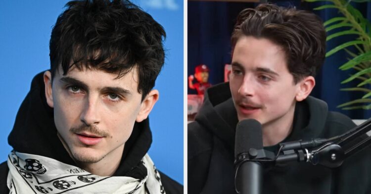 Timothée Chalamet’s TV Actor Feedback Divide Followers