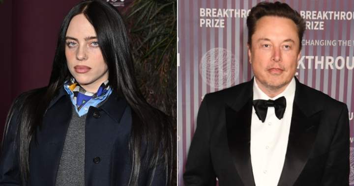 Billie Eilish calls out ‘pathetic’ Elon Musk for not donating huge fortune – Nationwide