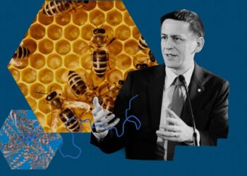 The Obtain: the way forward for AlphaFold, and chatbot privateness issues