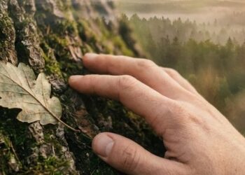 Actual Life Expertise with a Deferred Mounted Annuity (MYGA)