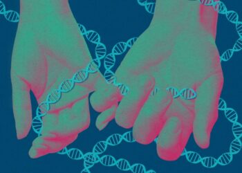 The Obtain: Expanded service screening, and the way Southeast Asia plans to get to area