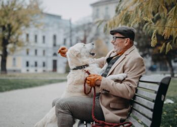 7 Winter‑Pleasant Aspect Hustles Seniors Are Beginning Proper Now